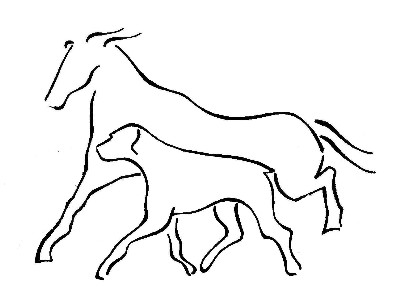 VETERINÁRNÍ ORDINACE HANUŠOVICE