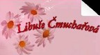 ČMUCHAŘOVÁ LIBUŠE-ÚČETNICTVÍ 
