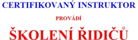 ADAM JIŘÍ-LEKTORSKÁ ČINNOST 