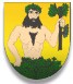 Město Město Albrechtice 