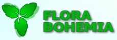 FLORA BOHEMIA 