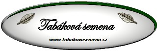 TABÁKOVÁ SEMENA 