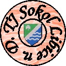 TJ SOKOL Libice nad Doubravou, z.s.