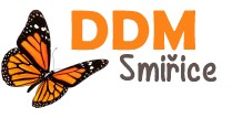 DŮM DĚTÍ A MLÁDEŽE Smiřice 