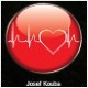 ZDS Kouba s.r.o.