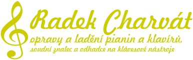 Radek Charvát 