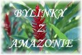 MAGICSTAR.CZ-VÝKLAD KARET 