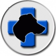 VETERINÁRNÍ ORDINACE BLACKVET 