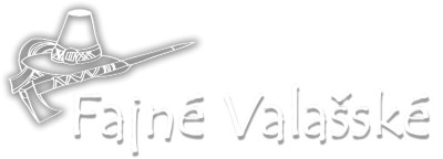 Ing. Václav Vičík 