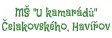 MŠ U KAMARÁDŮ Havířov 