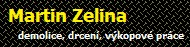 Martin Zelina 