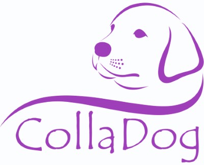COLLADOG s.r.o.