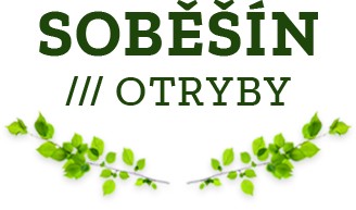 Obec Soběšín 