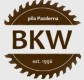 PILA PAZDERNA BKW 