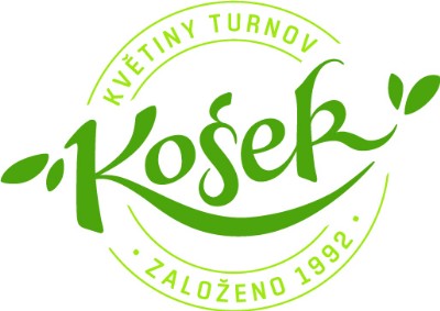 Ing. Ivan Košek 