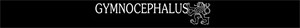 GYMNOCEPHALUS
