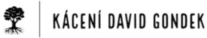 David Gondek - rizikové kácení Plzeň 