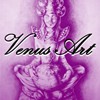 VENUS ART 