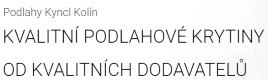 KYNCL EMIL-PODLAHY 