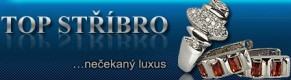 TOP STŘÍBRO 