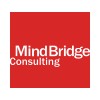 MINBRIDGE CONSULTING a.s.