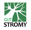 STROMY GUT 