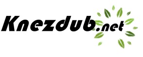 KNEZDUB.NET 