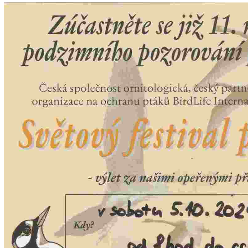 Festival ptáci