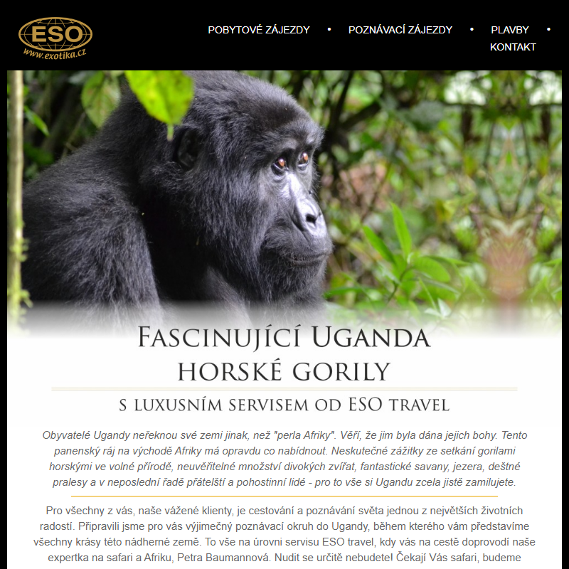 Horské gorily v Ugandě - poslední 2 místa!