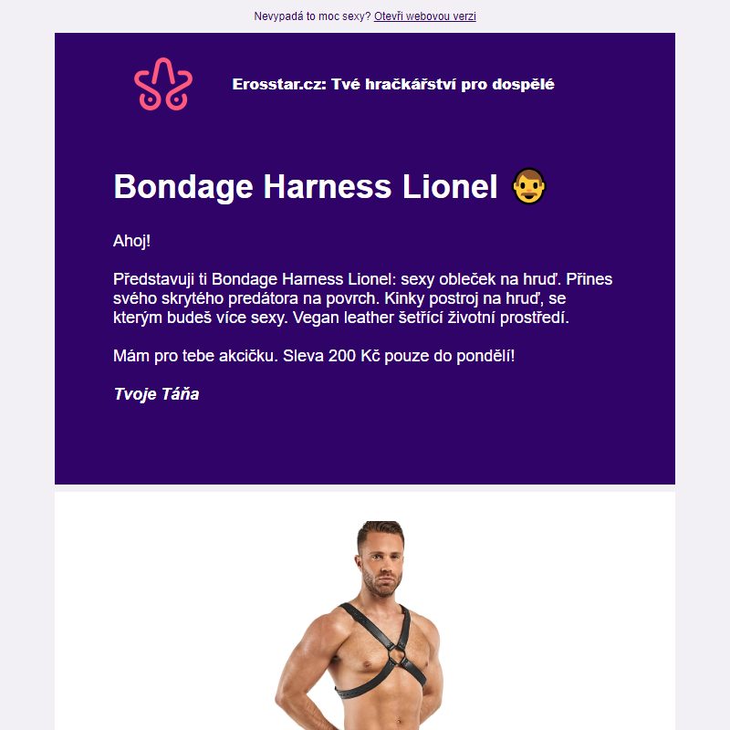 Bondage Lionel _ Sleva 200 Kč pouze 48 hodin