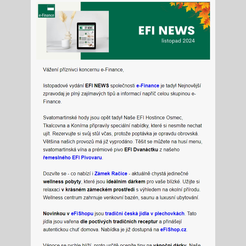 Přečtěte si listopadové vydání EFI NEWS společnosti e-Finance!