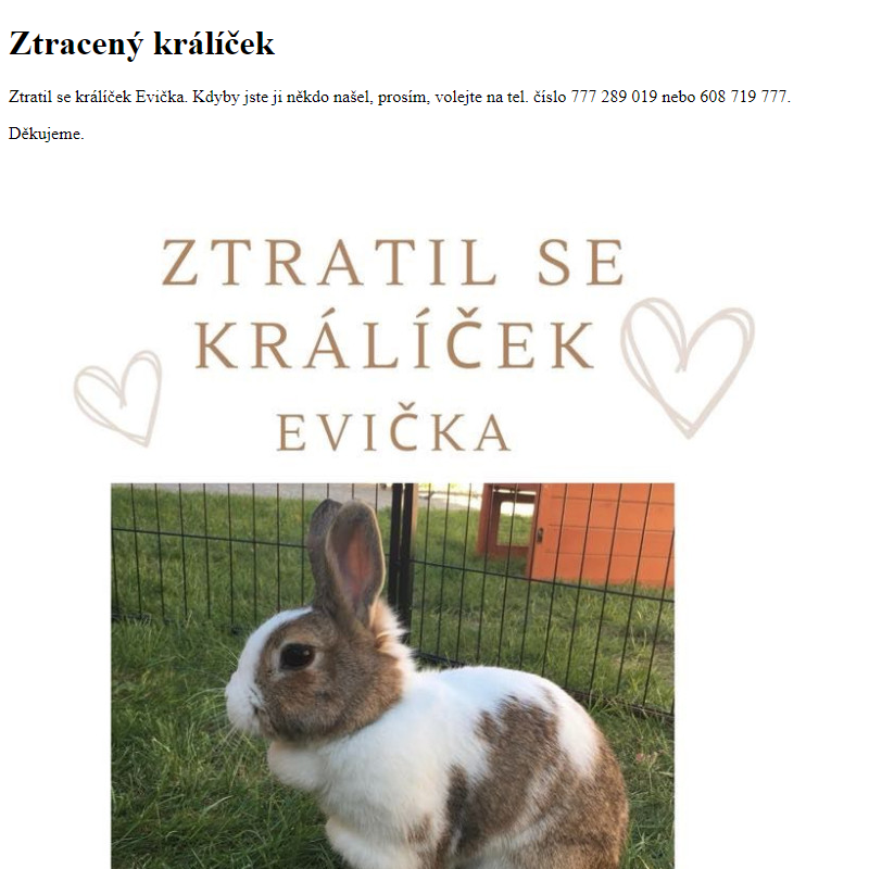 www.hlusovice.eu - Ztracený králíček