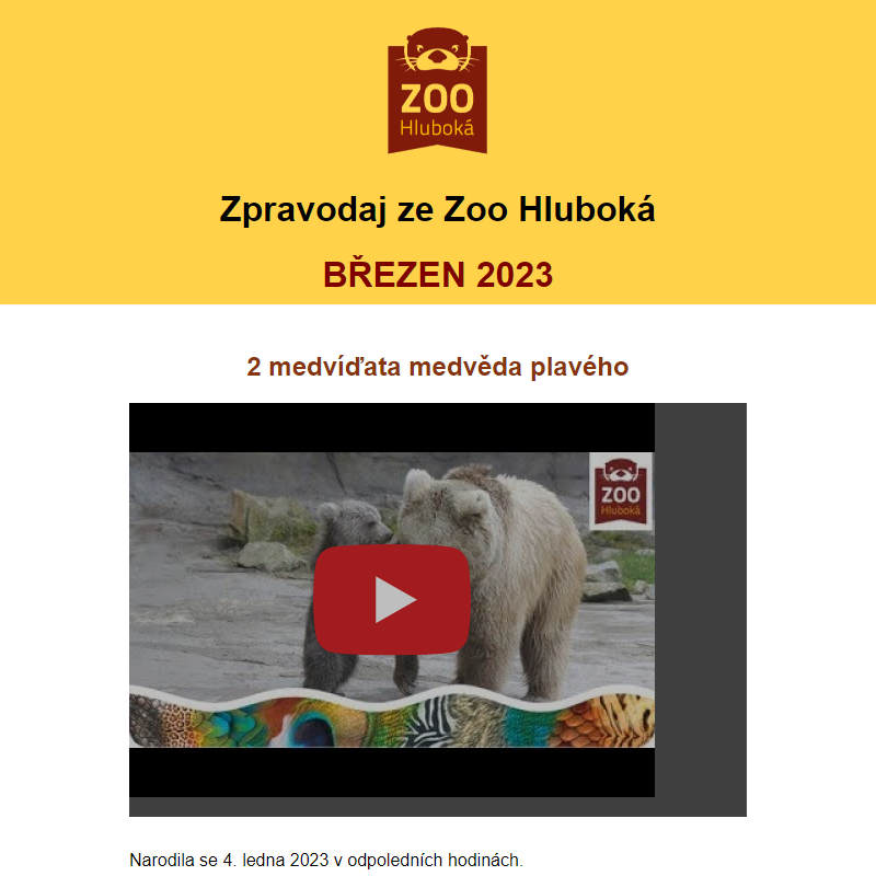 Zpravodaj ze Zoo Hluboká