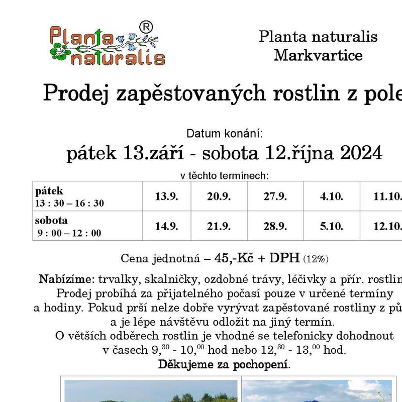 Planta Naturalis - prodej rostlin z pole