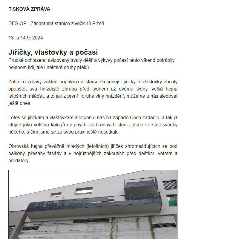 DES OP - 2024 - 106 - Jiřičky, vlaštovky a počasí