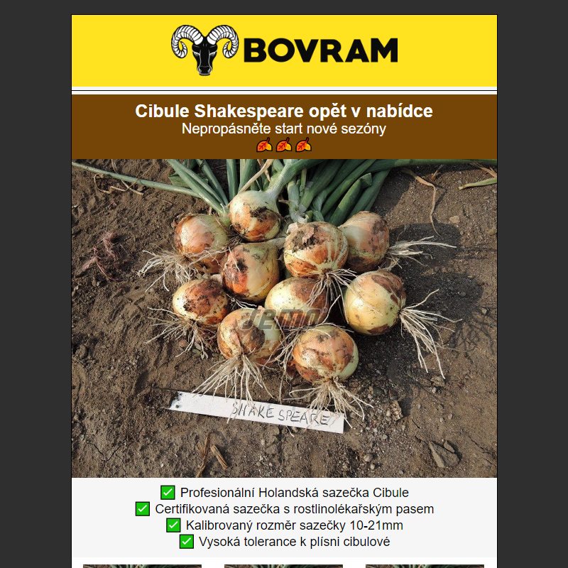 _ Opět skladem! Sazečka cibule Shakespeare – připravte se na bohatou úrodu! ___ BOVRAM.cz __