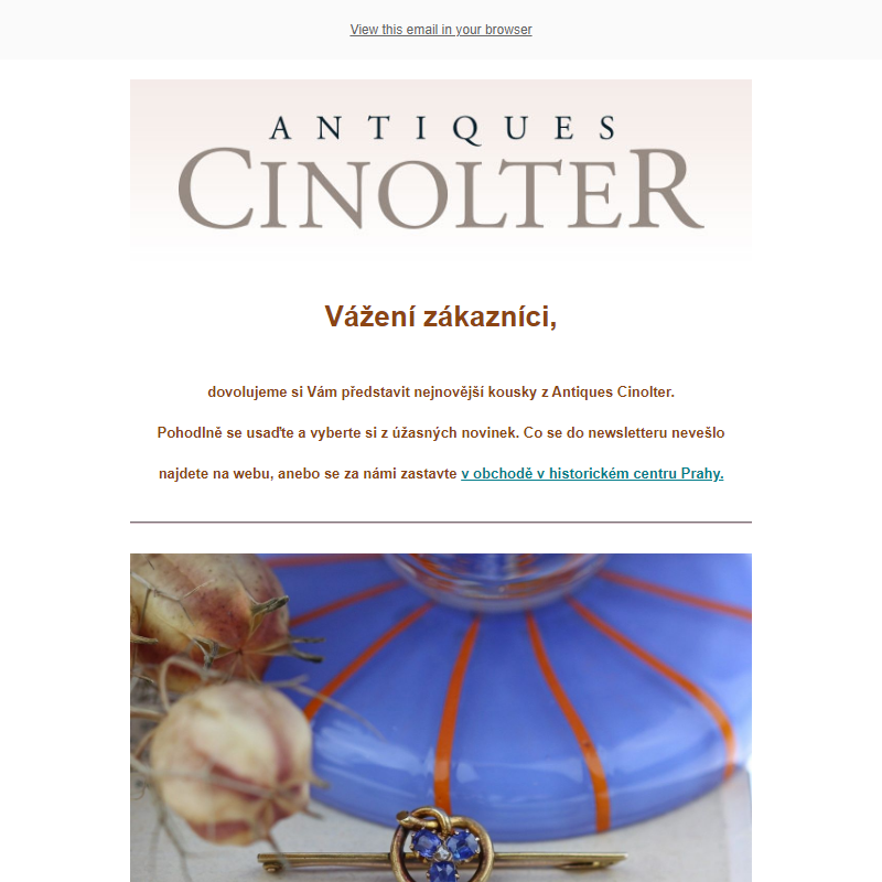 Šperky a starožitné předměty v Antiques Cinolter _