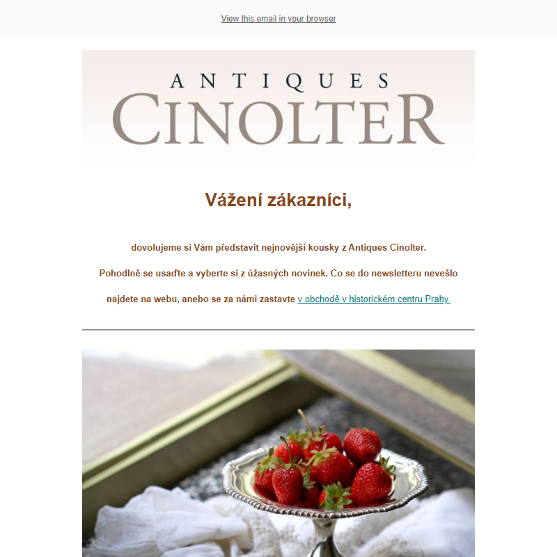 Srpnový newsletter - starožitnosti Antiques Cinolter _