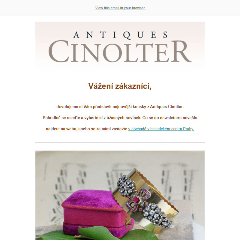 Listopadový newsletter - starožitnosti Antiques Cinolter _