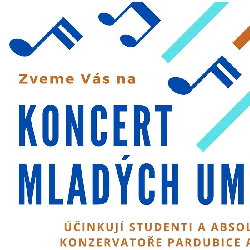 Koncert mladých umělců