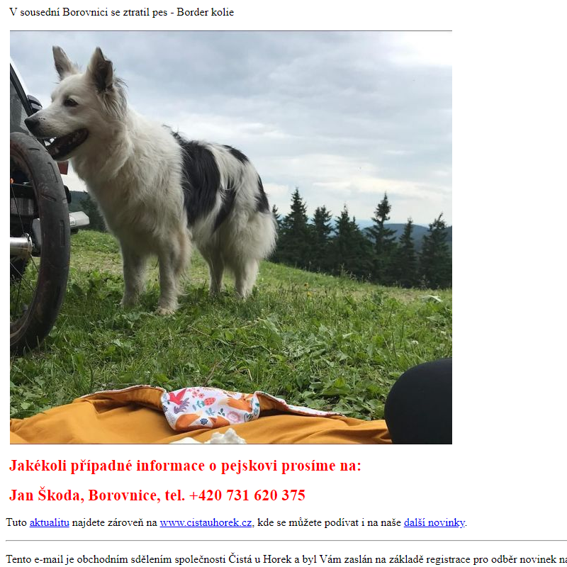 Ztracený pes v Borovnici