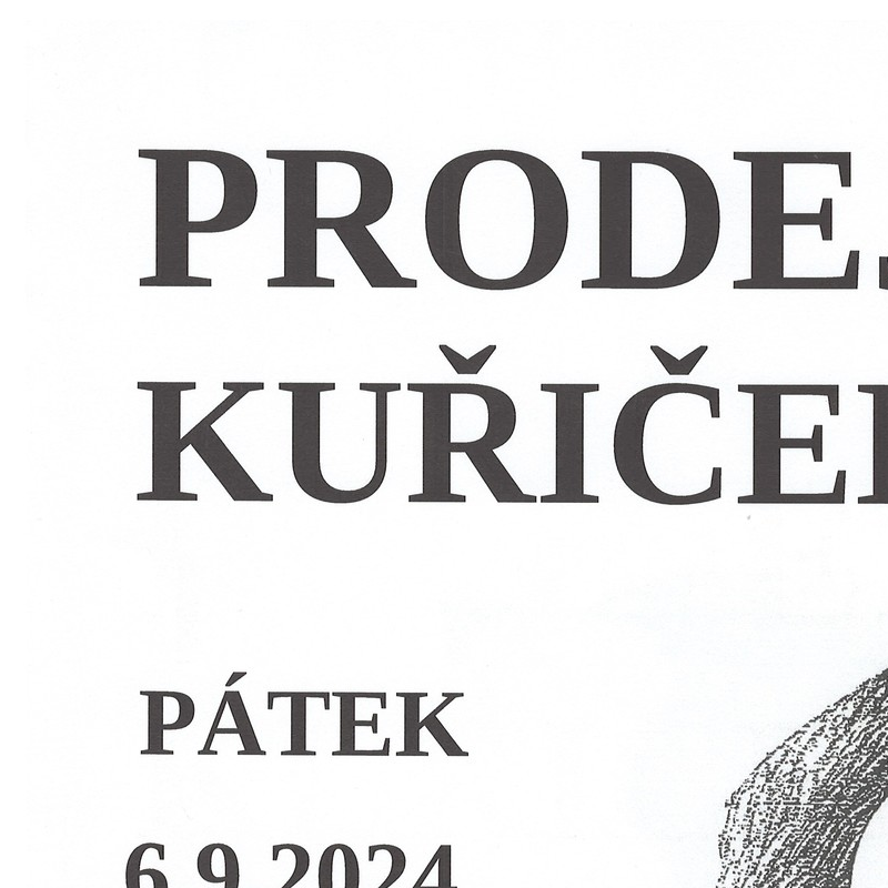 Prodej kuřiček Novák