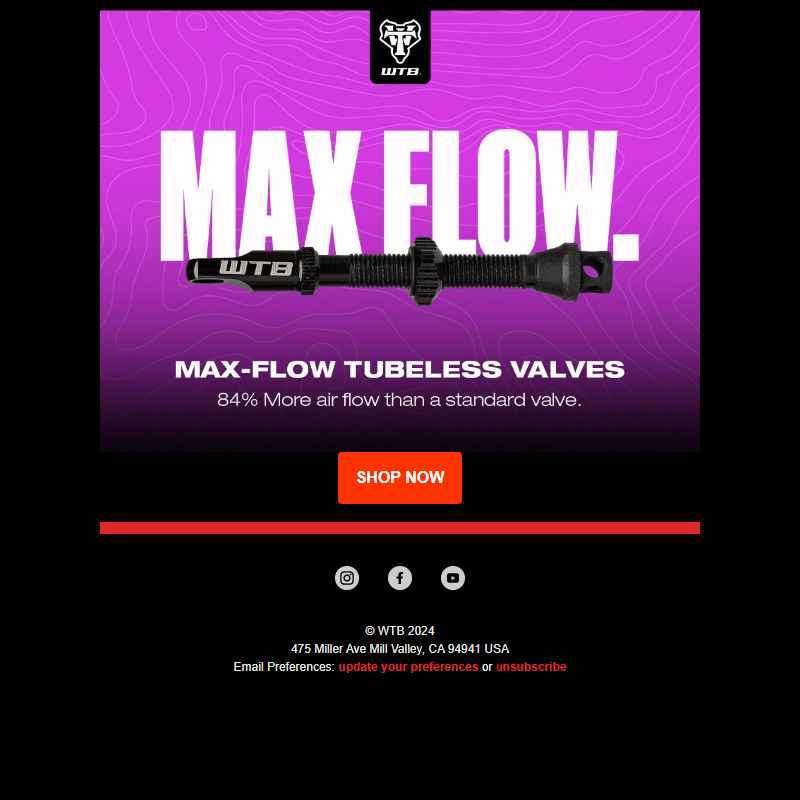 NEW Max-Flow Tubeless Valves