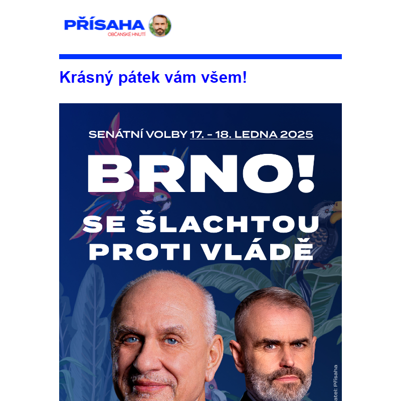 Brno! Už dneska jsou volby!