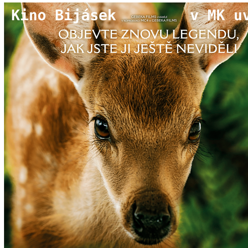 Kino Bijásek v Městci Králové - Bambi