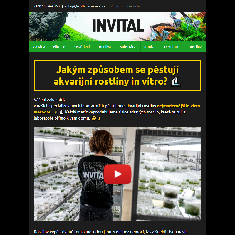 Jakým způsobem se pěstují akvarijní rostliny in vitro? + Video _