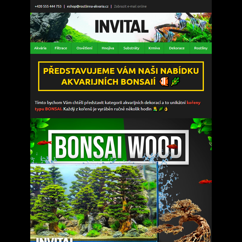 Akvarijní bonsaie __ - jedinečné ručně vyráběné dekorace
