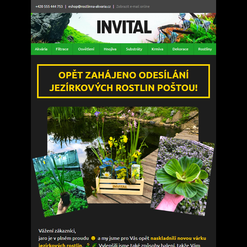 Opět zahájeno odesílání jezírkových rostlin poštou __