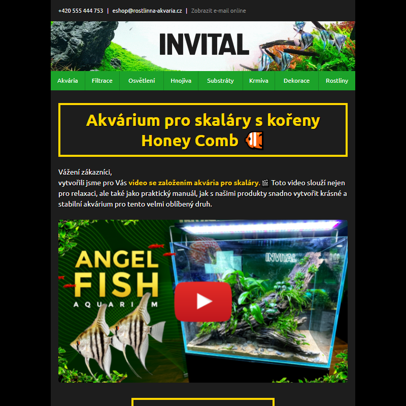 Akvárium pro skaláry s kořeny Honey Comb _
