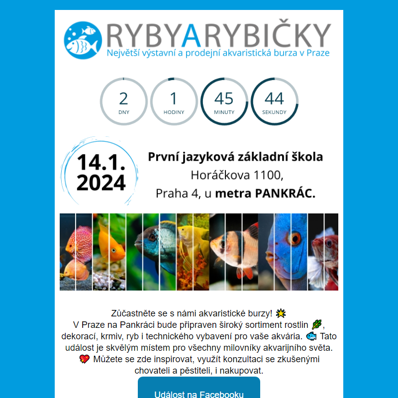 _  Ryby a Rybičky 14.1.2024 Praha/Pankrác